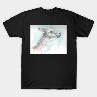 Lovely llama! T-Shirt